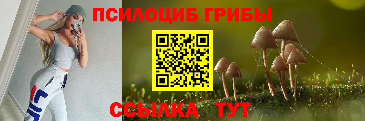 Псилоцибиновые грибы Psilocybe  Псилоцибиновые грибы GOLDEN TEACHER  дарнет шоп  Белая Калитва  Вход с VPN 